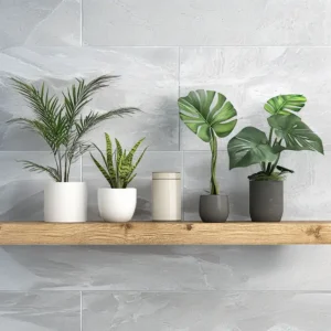 Bathroom Plants