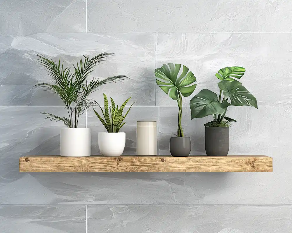 Buy Bath Room Plants Online