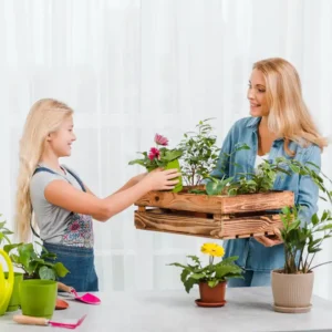 Shop Plants