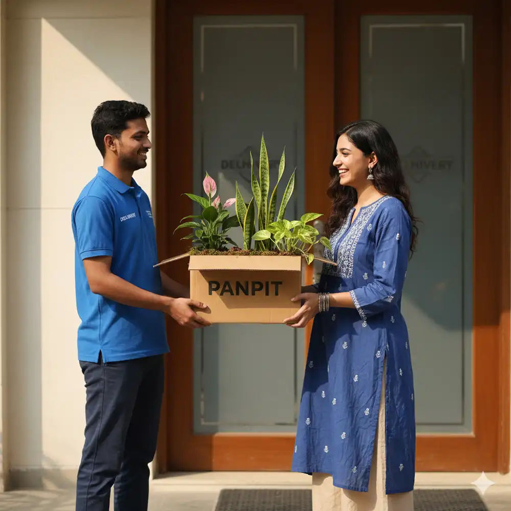 plants online in delhi